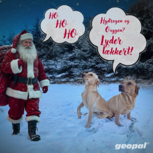 God Jul og Godt Nytaar fra Geopal