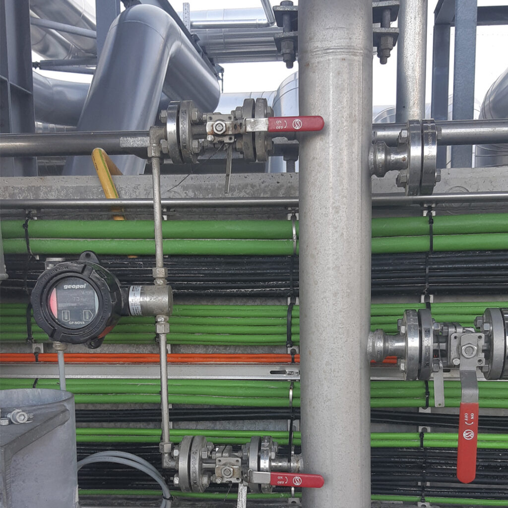 Geopal Celebrating 40 Years of Safety